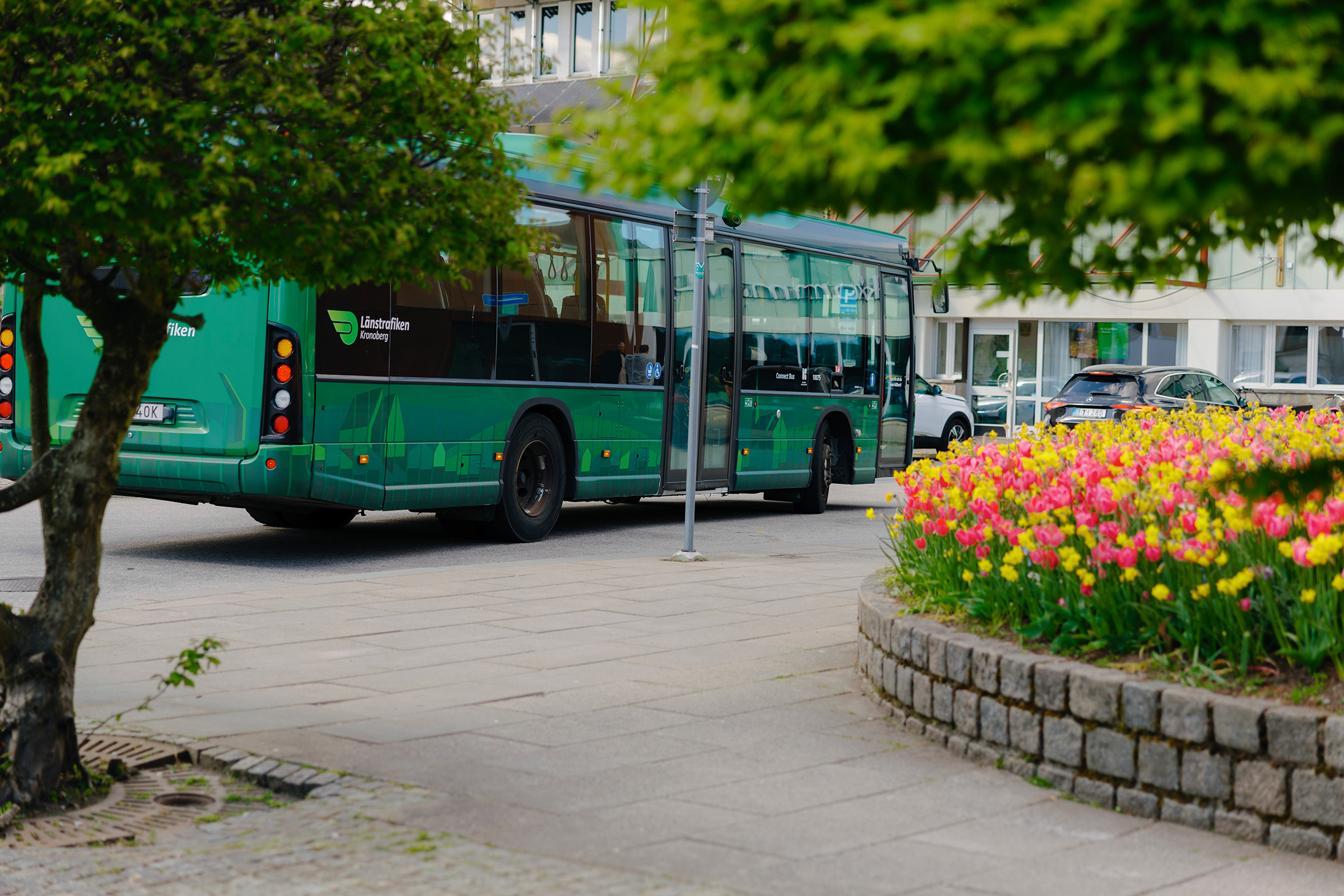En grön buss skymtas mellan ett träd och en blomrabatt