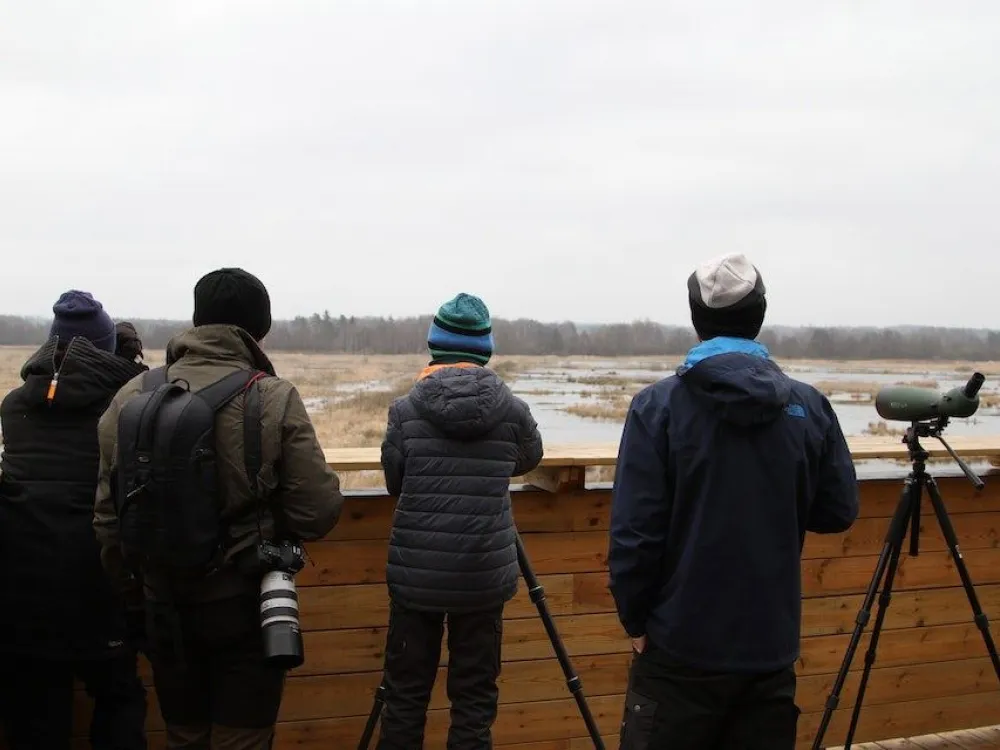 Möt vårens fåglar vid Husebymaden