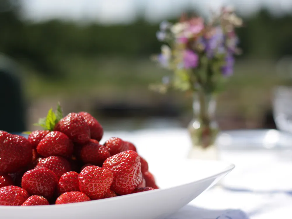 Sommaraktiviteter för barn 6-13 år