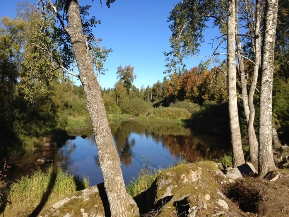 Höstvandring vid Kojtasjön