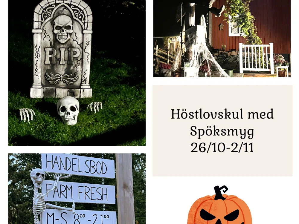 Höstlovskul med Spöksmyg