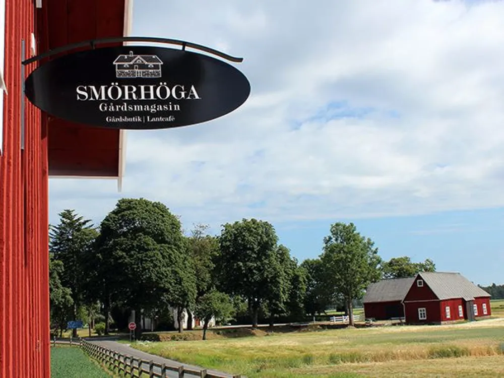 smorhoga_IMG_2596.jpg