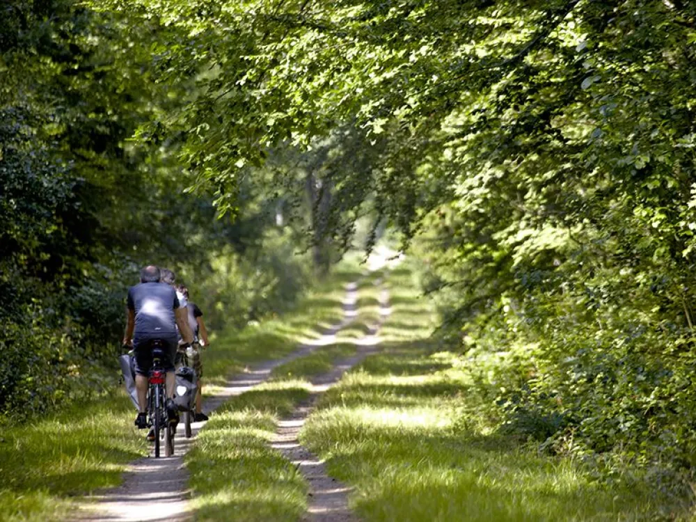 110816-cykel_07.jpg