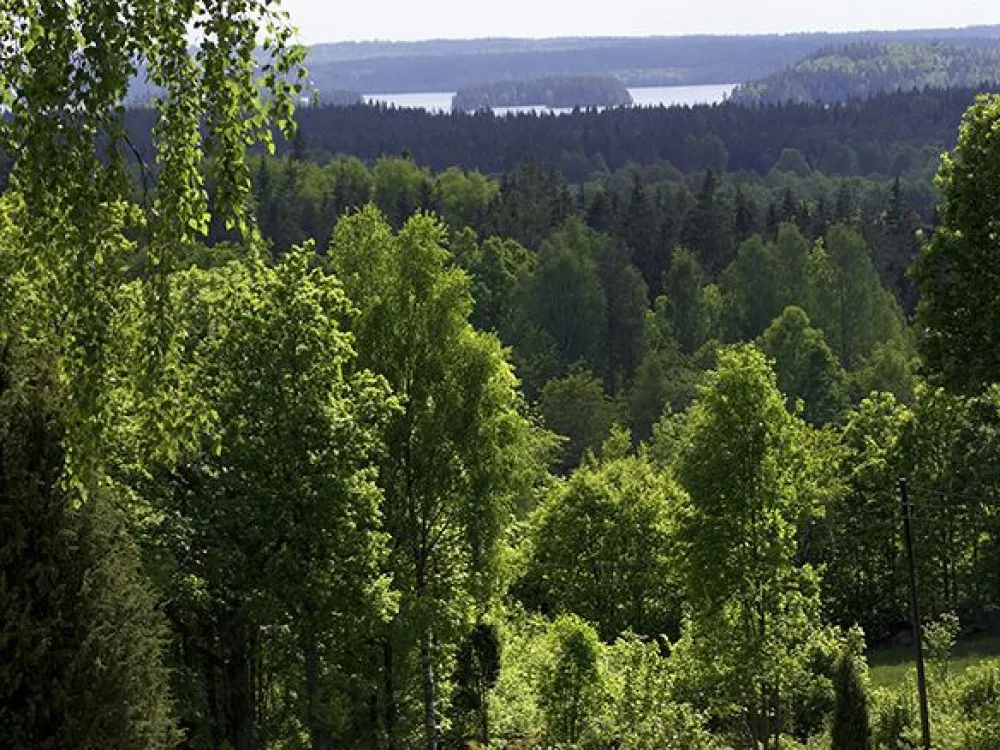 080523-moheda010.jpg