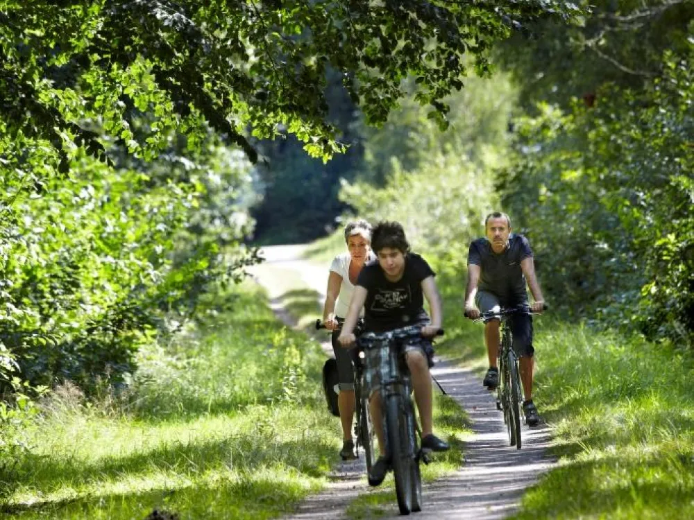110816-cykel_06.jpg
