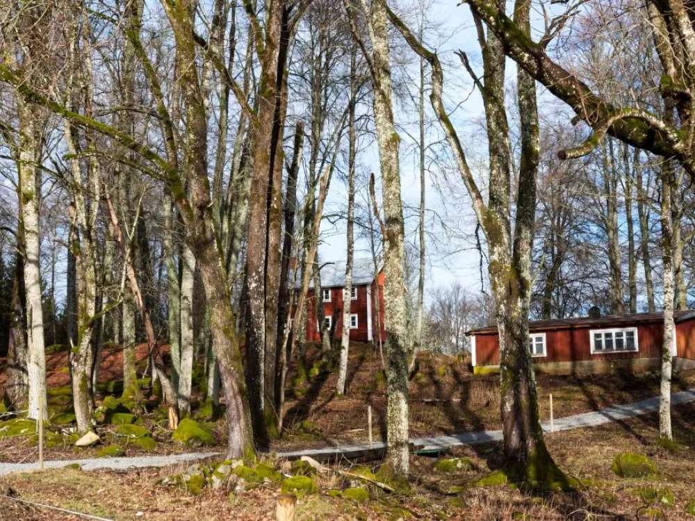 Johan bild sjöborgen.jpg