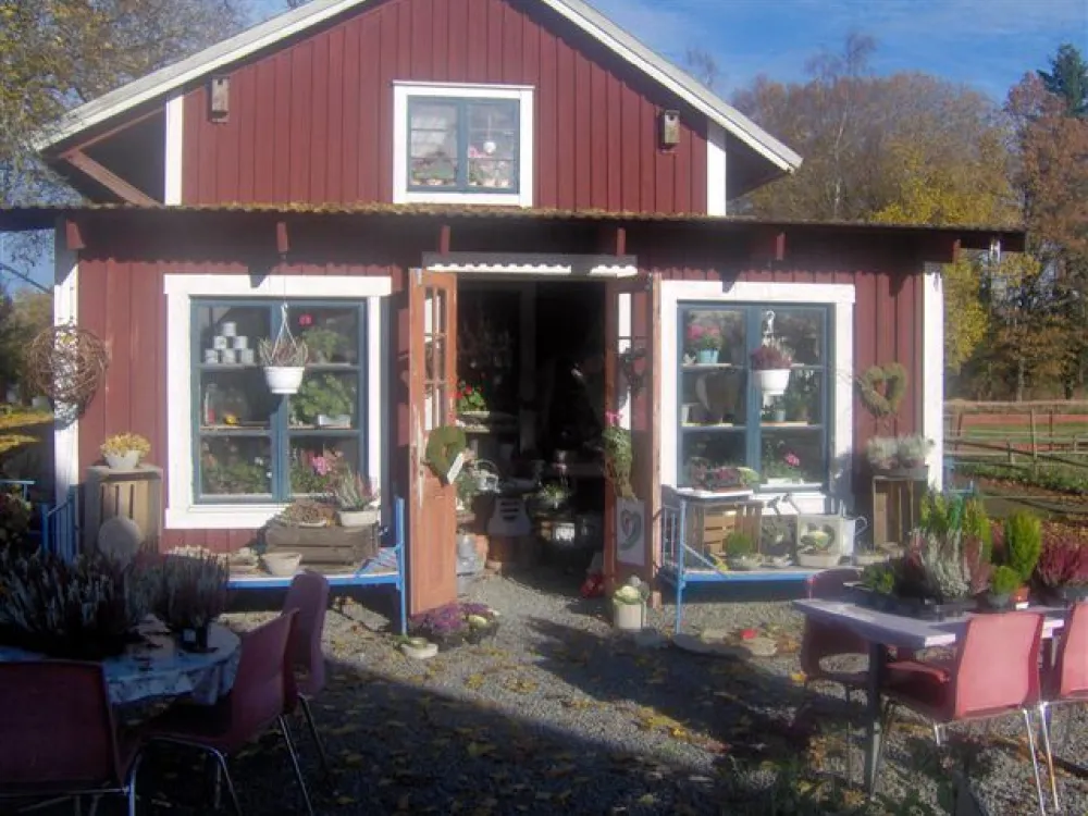 broaskog 1.jpg