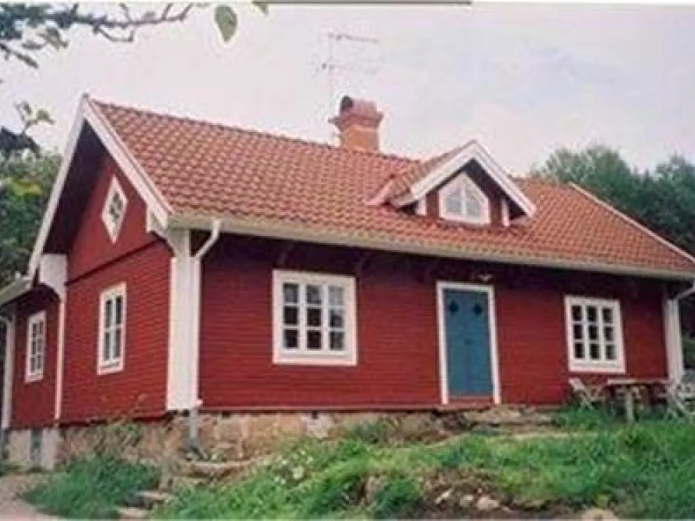 image.jpg