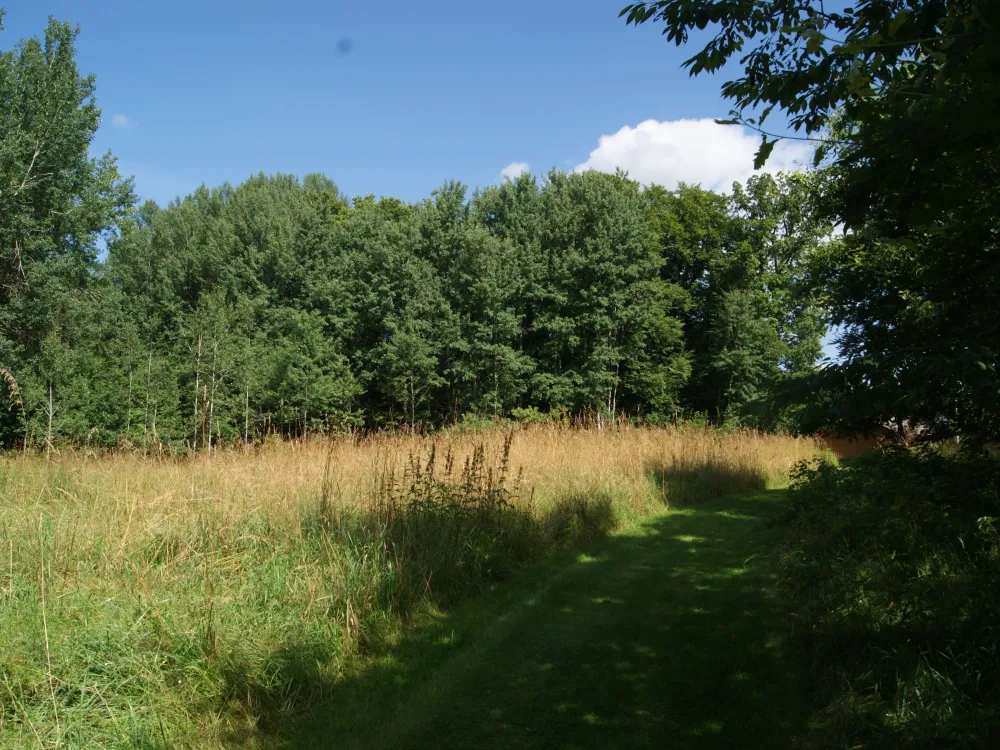 Naturreservat Torne bokskog