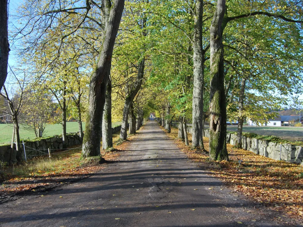 Gåvetorps Gård