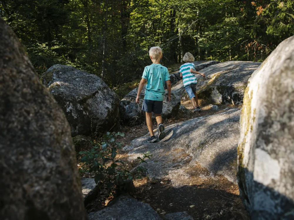 Åsnen national park