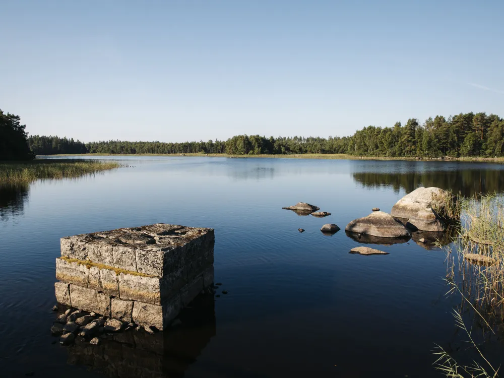 Vandring: Barr, löv och naturliga källor 