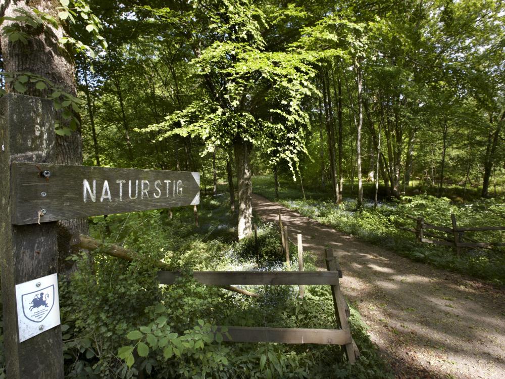 nature path at Tagel