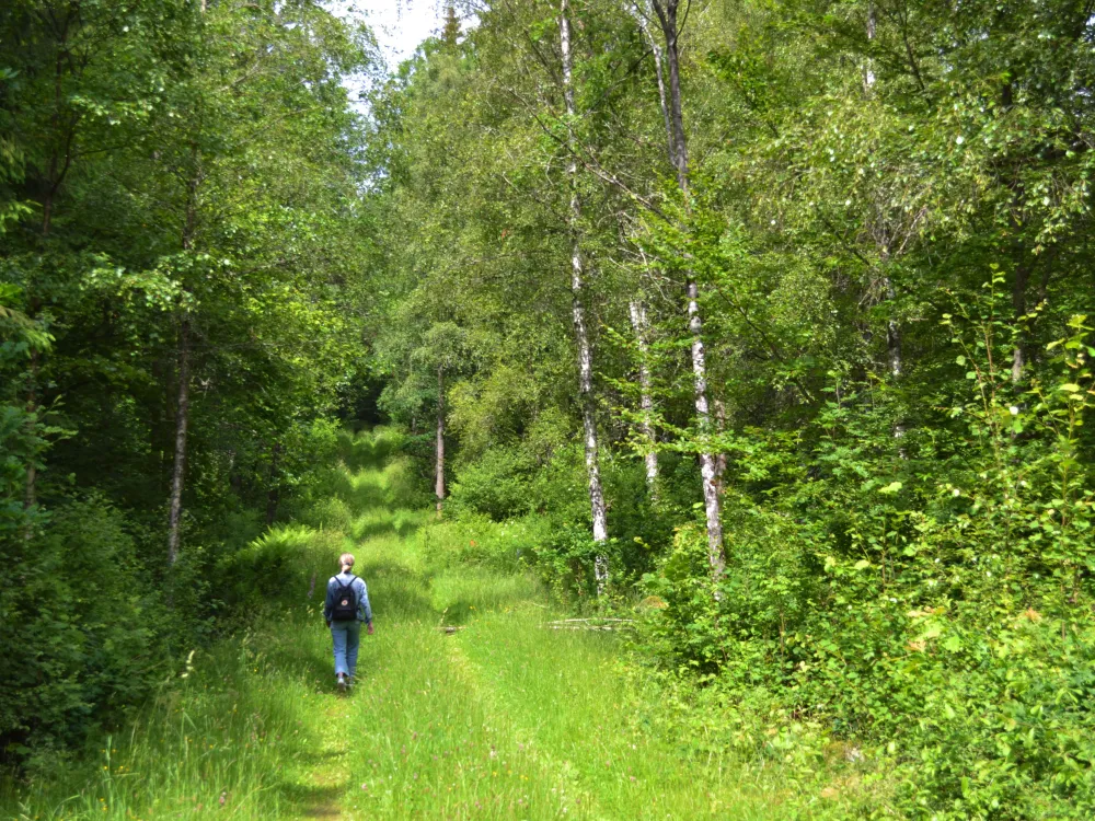  Nature reserve Brotorpabäck