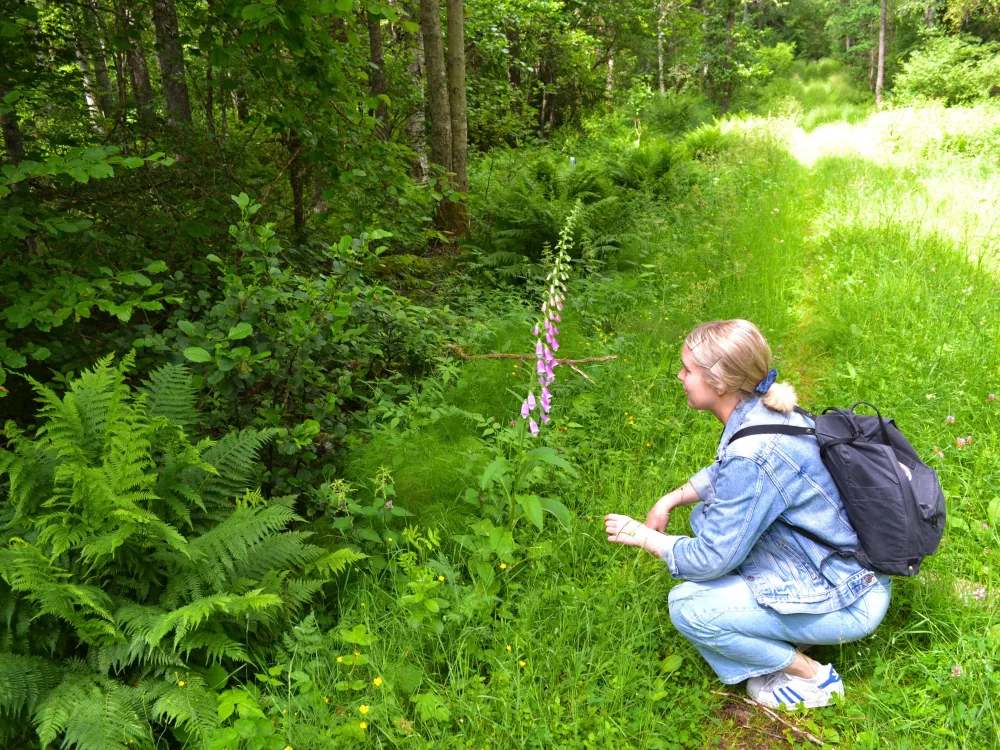  Nature reserve Brotorpabäck