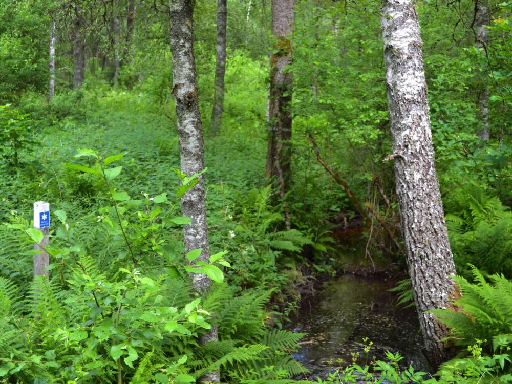  Nature reserve Brotorpabäck
