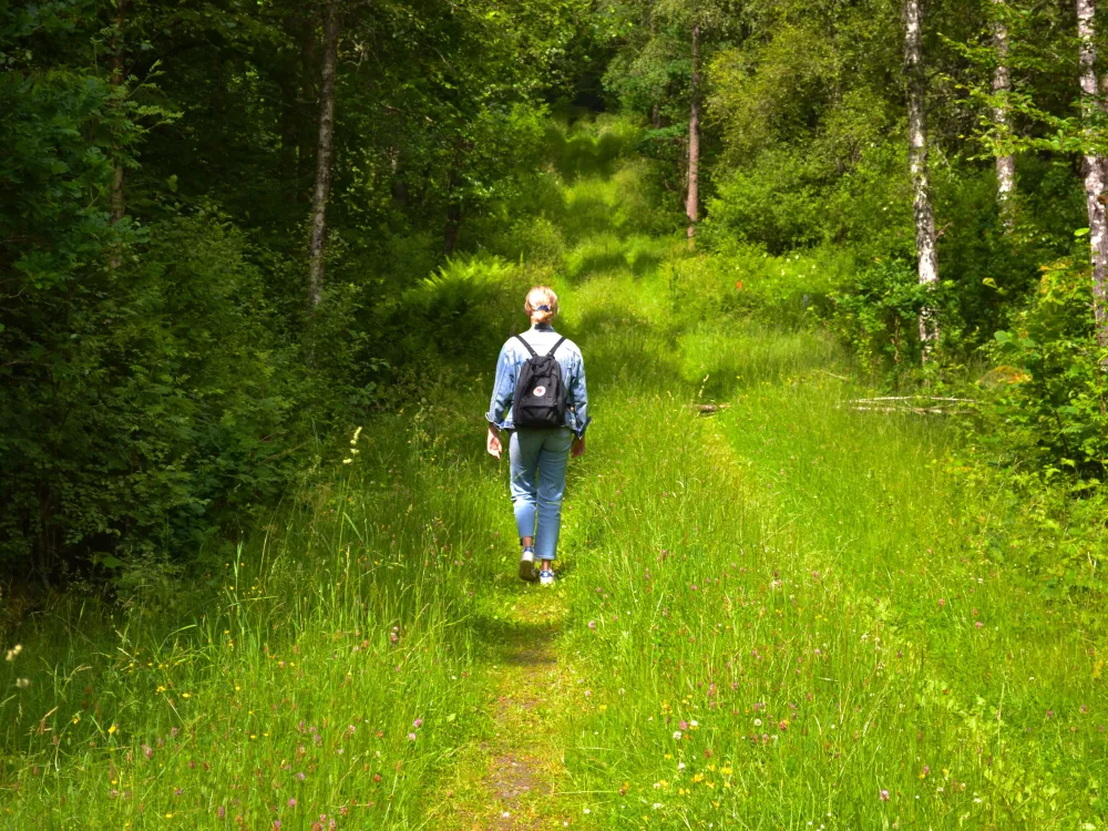  Nature reserve Brotorpabäck