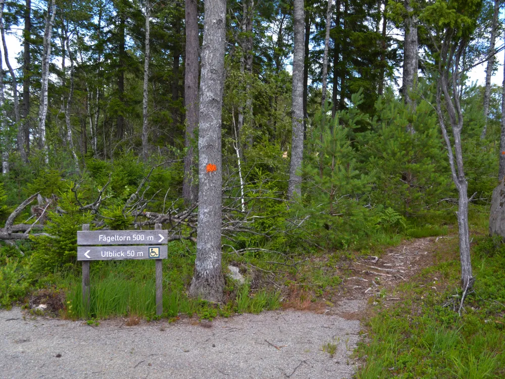 Naturreservat Taglamyren 