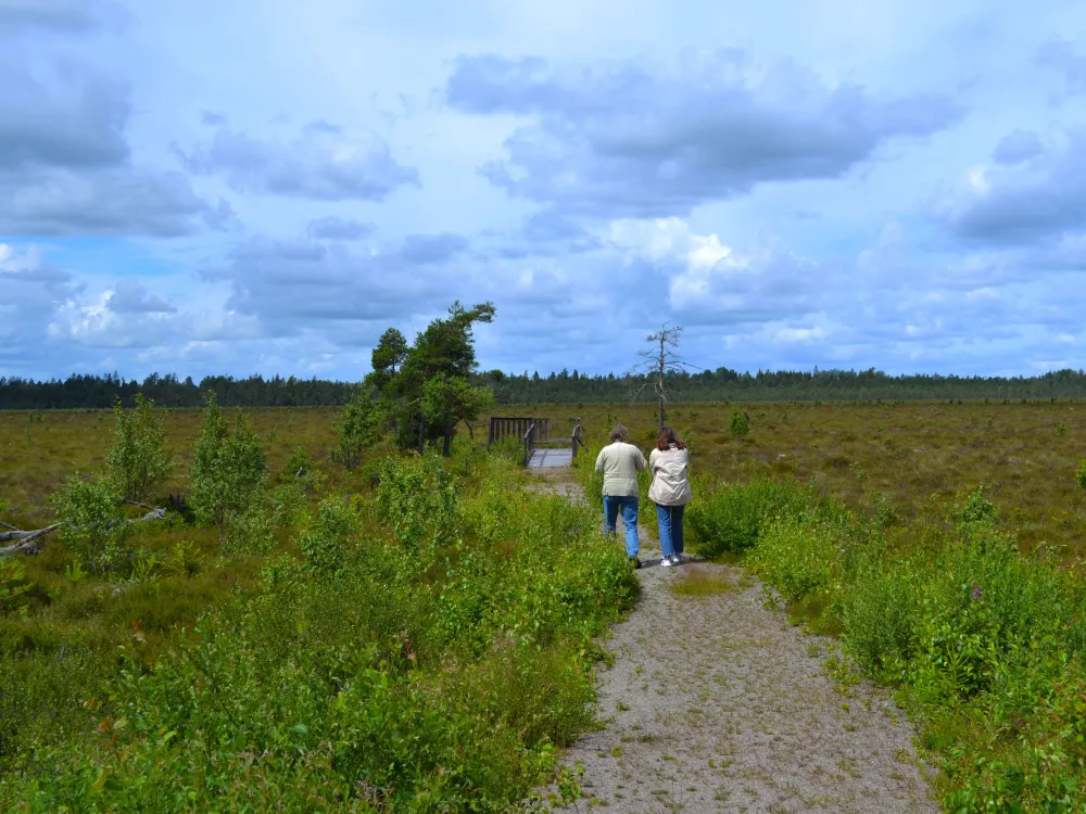Naturreservat Taglamyren 