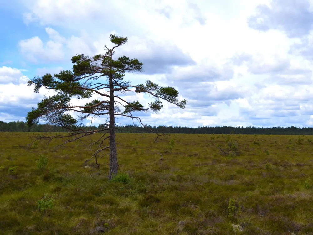 Nature reserve Taglamyren