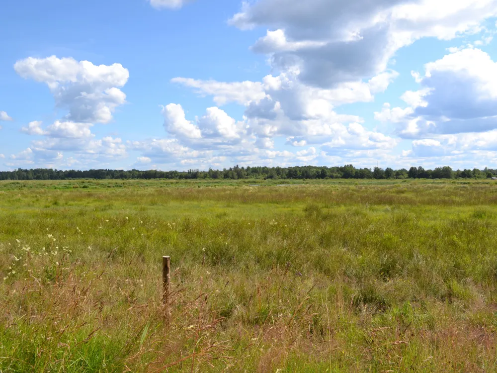 Nature reserve Husebymaden