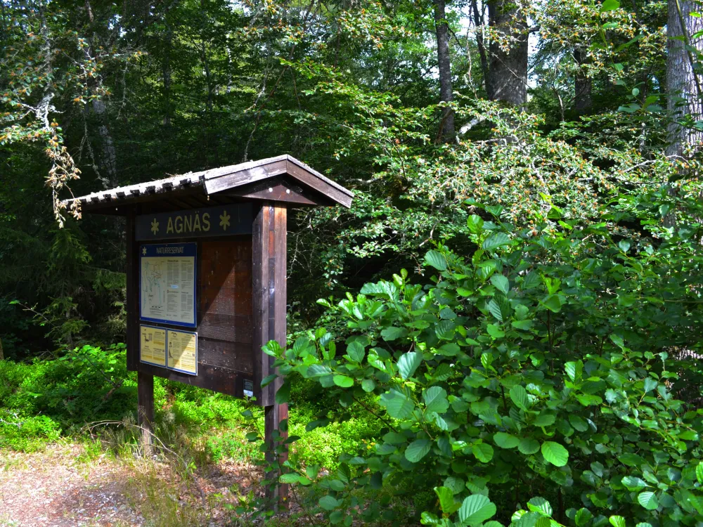Nature reserve Agnäs