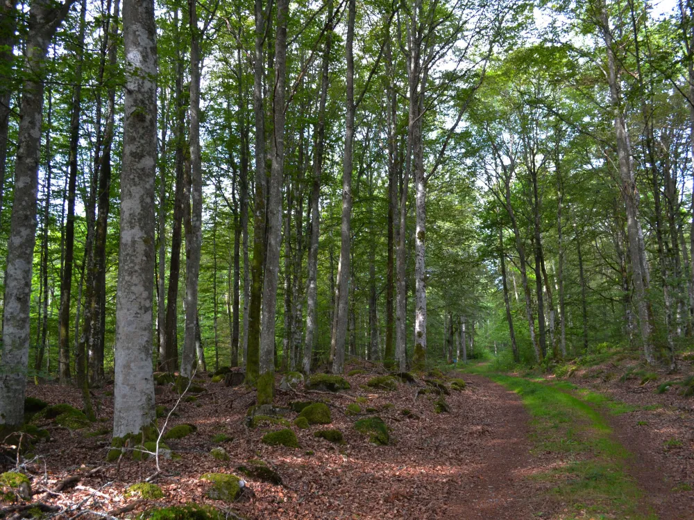 Nature reserve Agnäs