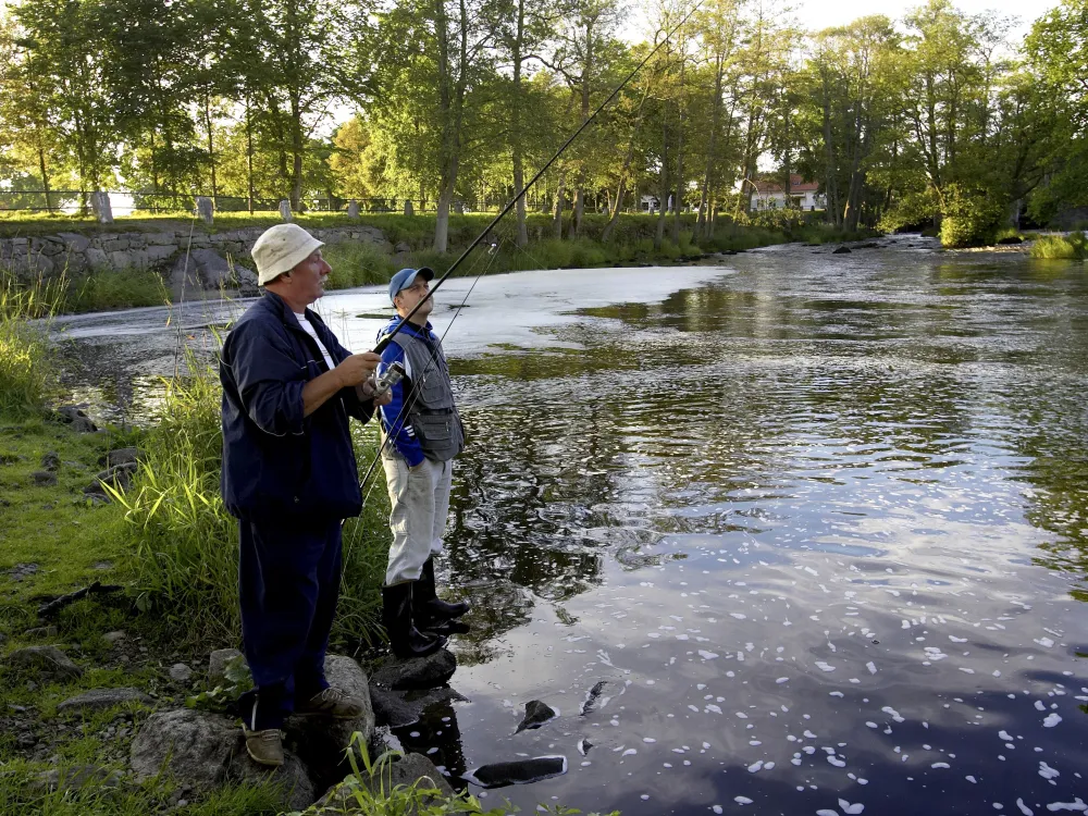 Fiske i Salen & Husebyån