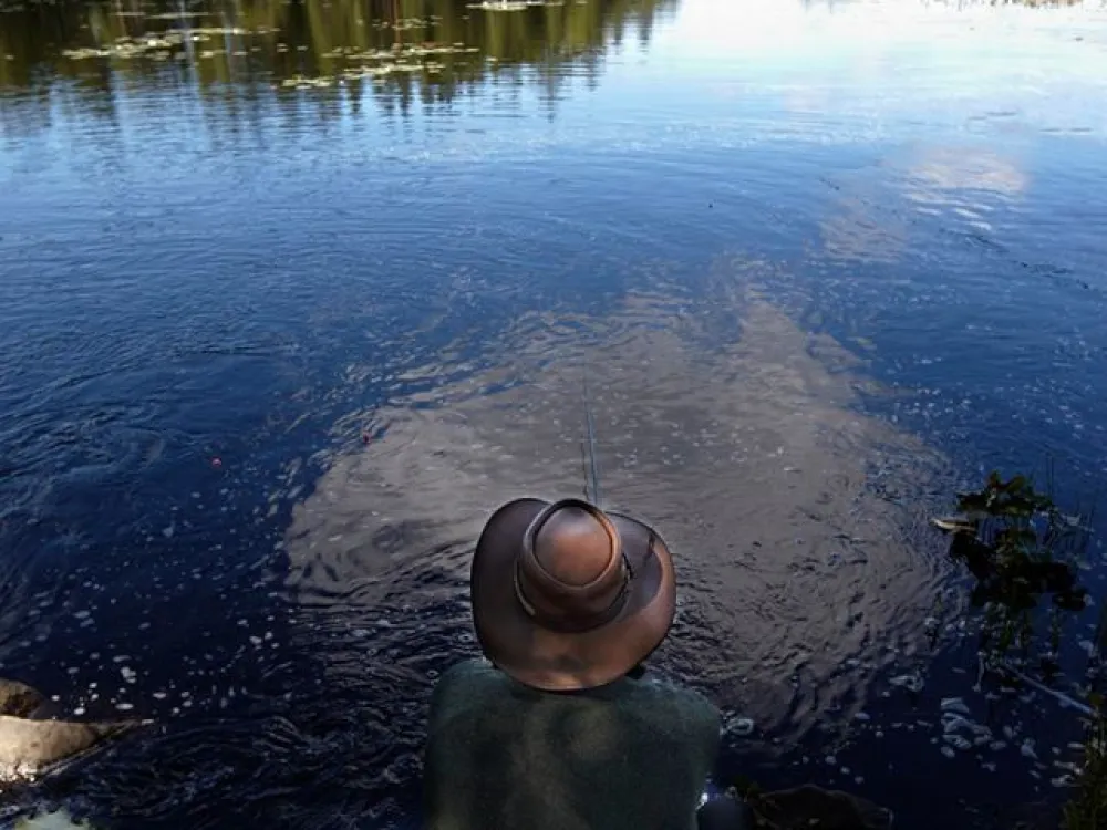 Fiske i Tjurken, Borrasjön, Olasjön, Trehörningarna med flera