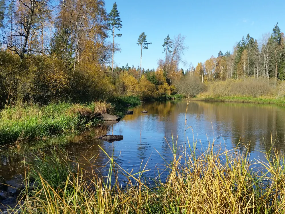 Naturområde: Prästahålan