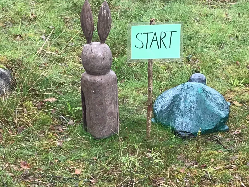 Sagospåret i Moheda