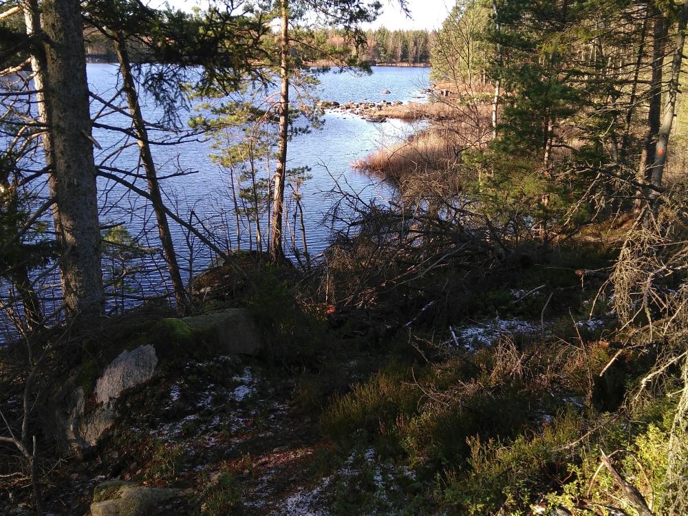 Vandring: Vandringsled i Kroksnäs naturreservat
