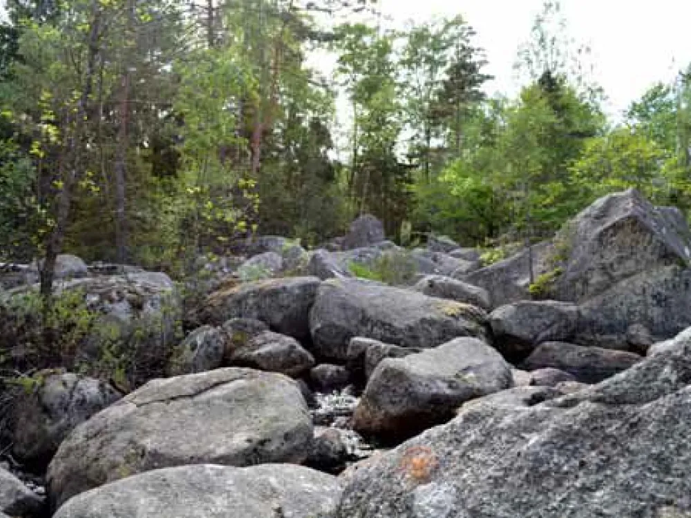 Dolda fallet/Åaskärvet.   