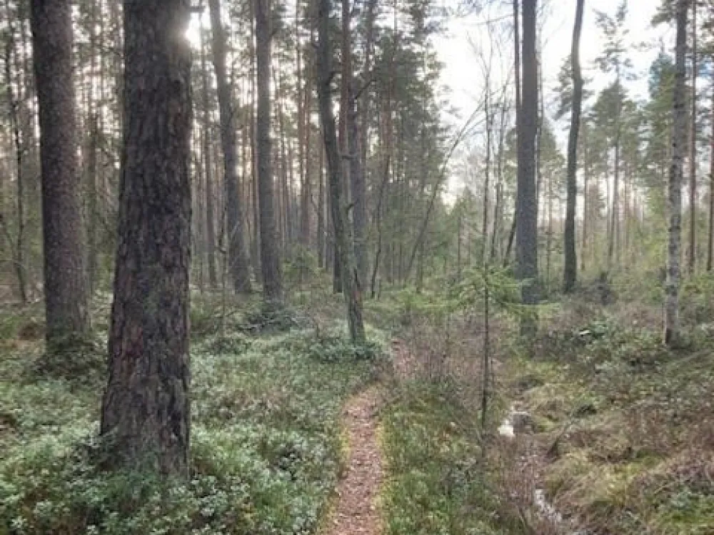 Naturreservat Björnholmarna