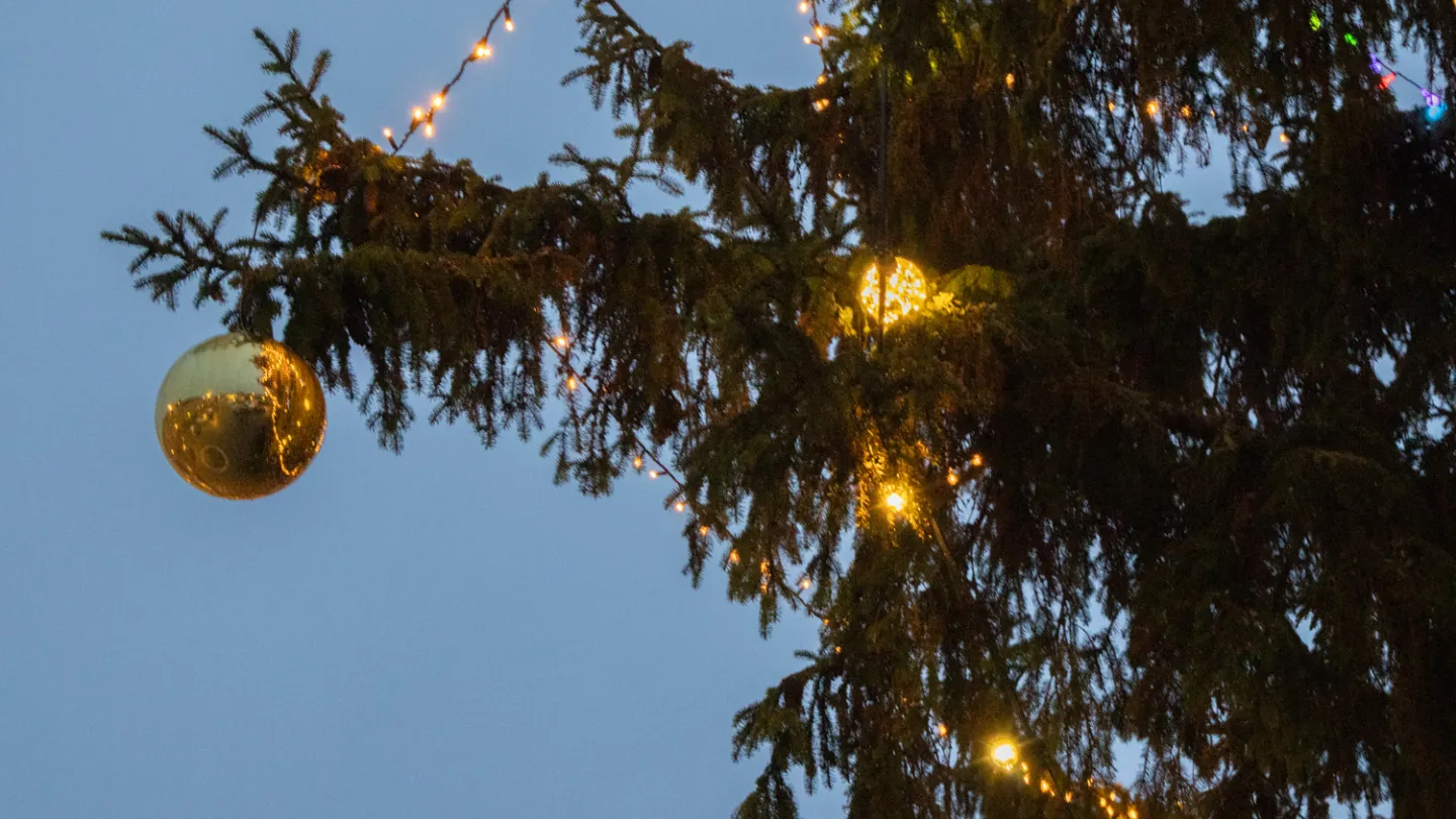 Guldig julgranskula på en grankvist