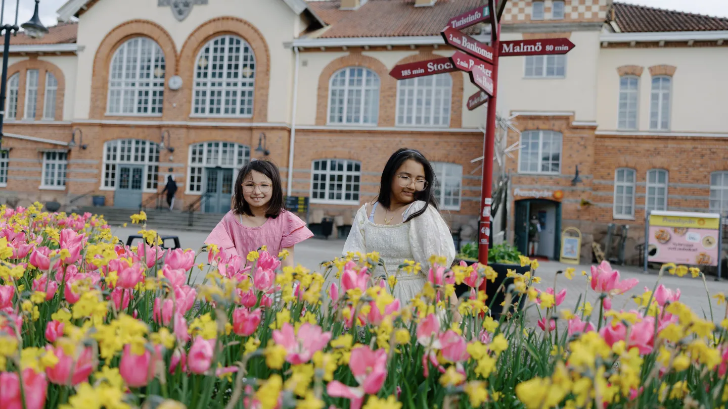 Två personer står bakom en tulpanrabatt