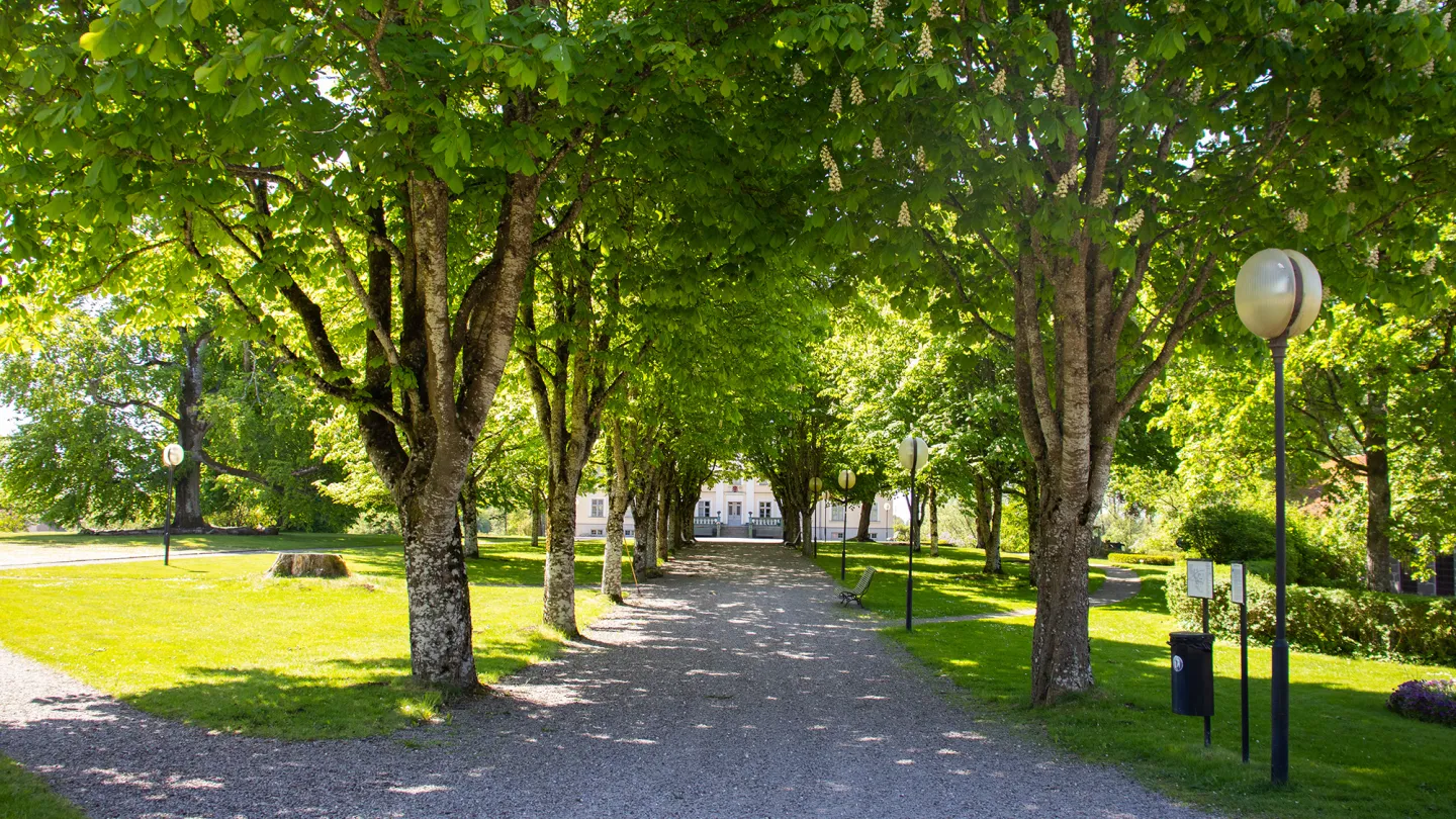Allé till Huseby slott